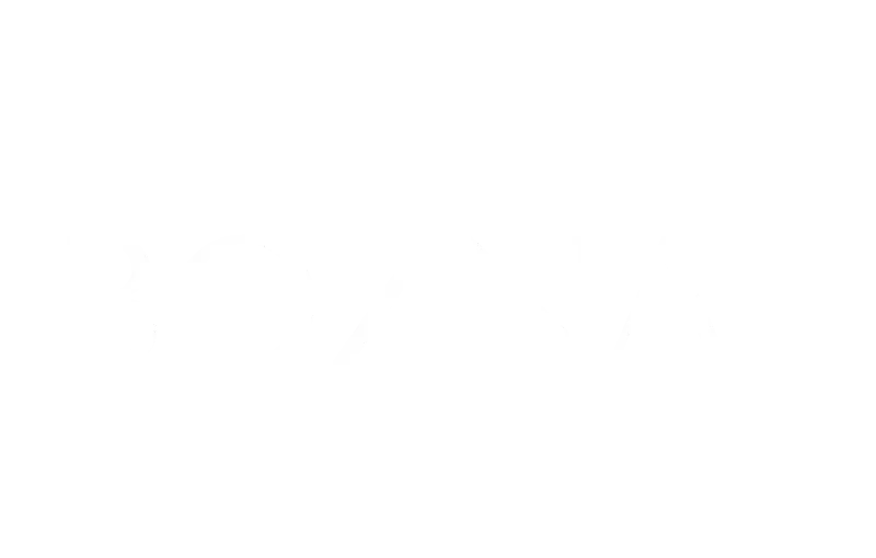 BOZNA